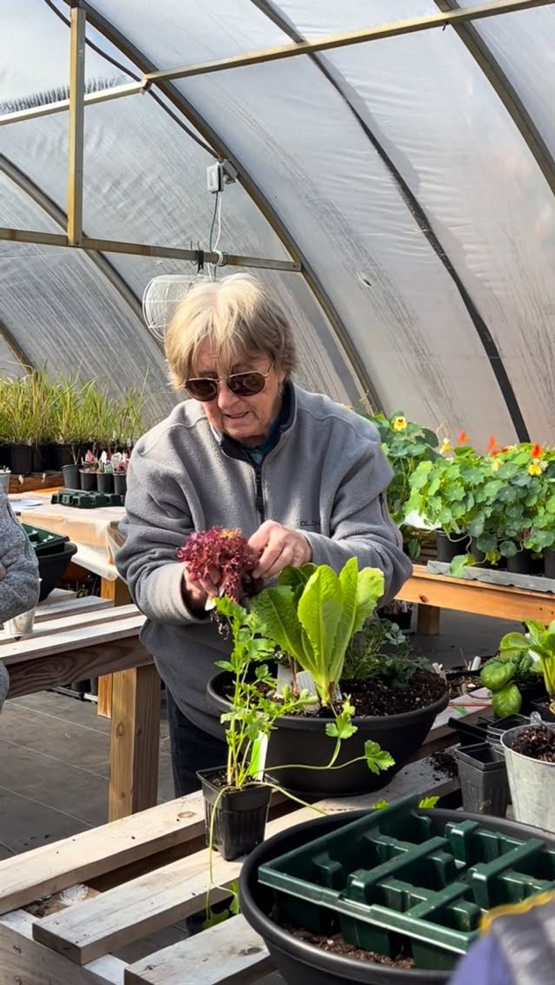 Shelton Herb Farm Charms Coastal Gardeners