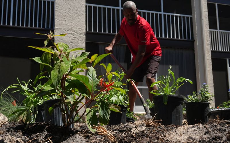 August Heat Still Tests New Roots