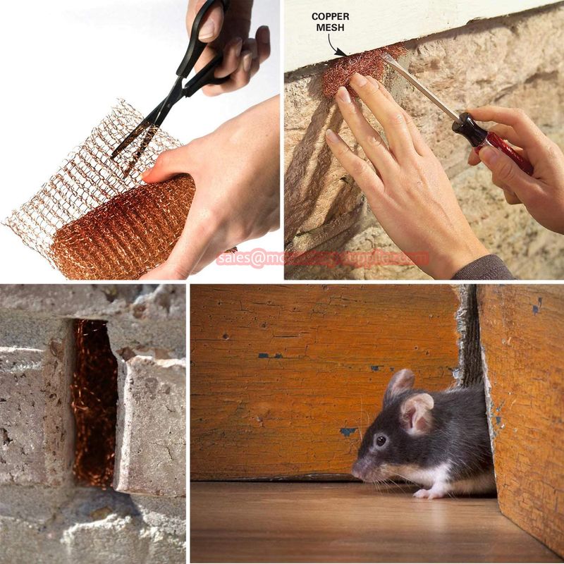 Seal The House Before Anything Else
