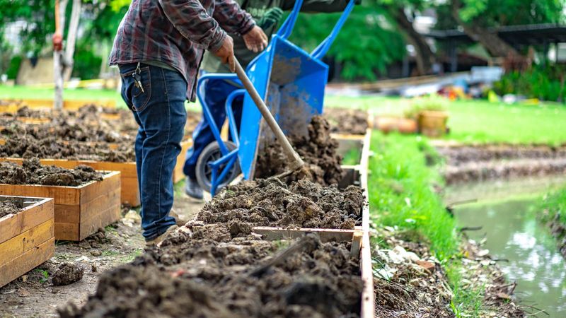 Fixing Red Clay Soil Changes Everything
