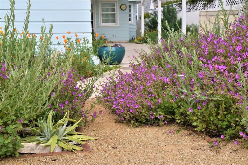 Support Existing Habitat Without Taking Over