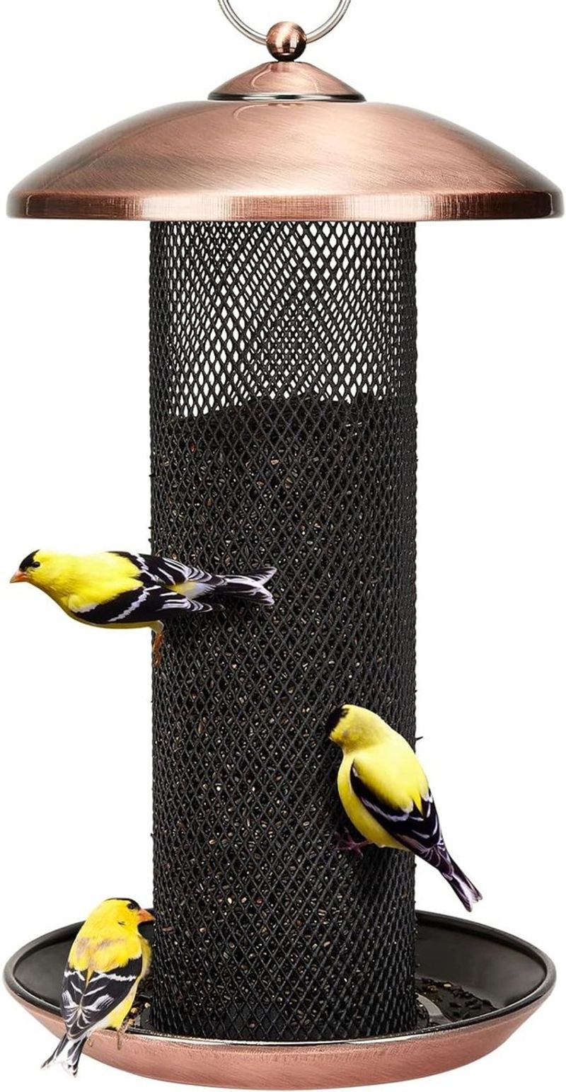 Feeders Help Only When You Manage Them