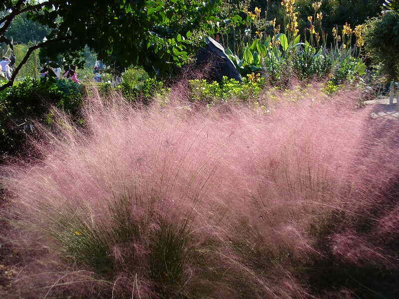 Choose Plants For Habitat, Not Hype