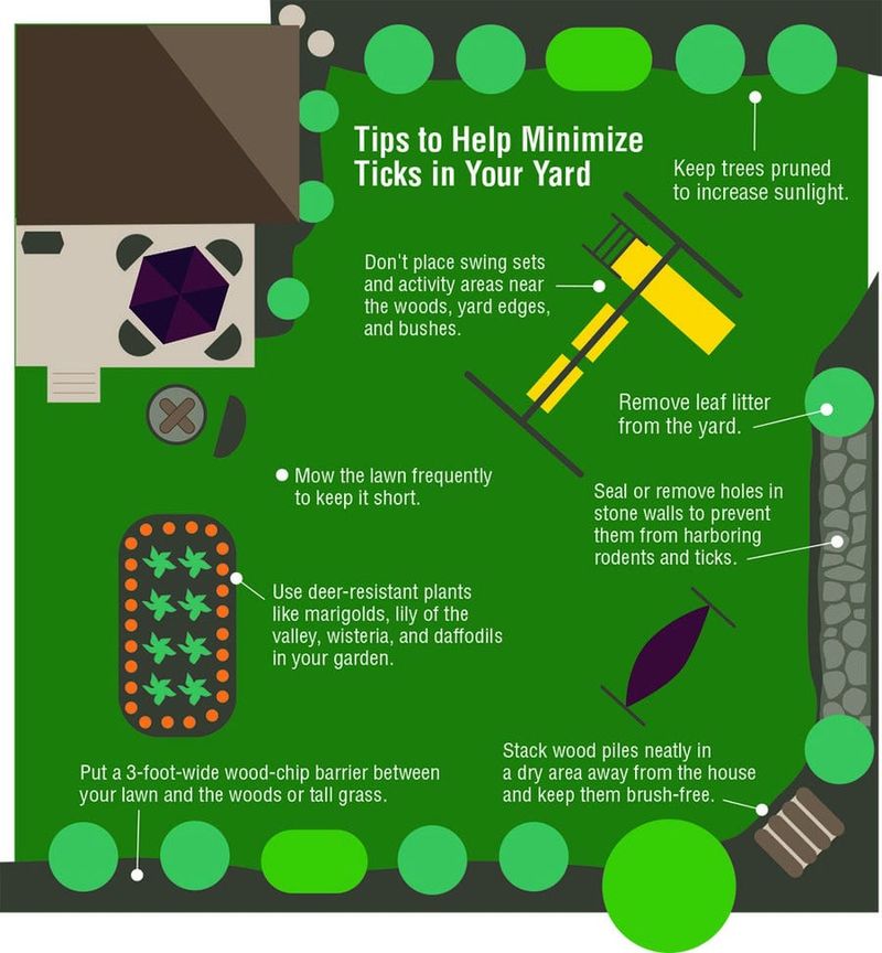 Use Proven Tick Protections Around People and Pets