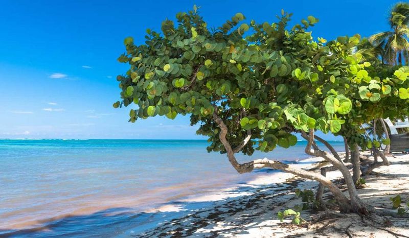 South Florida And Coastal Sites Have Their Own Standout