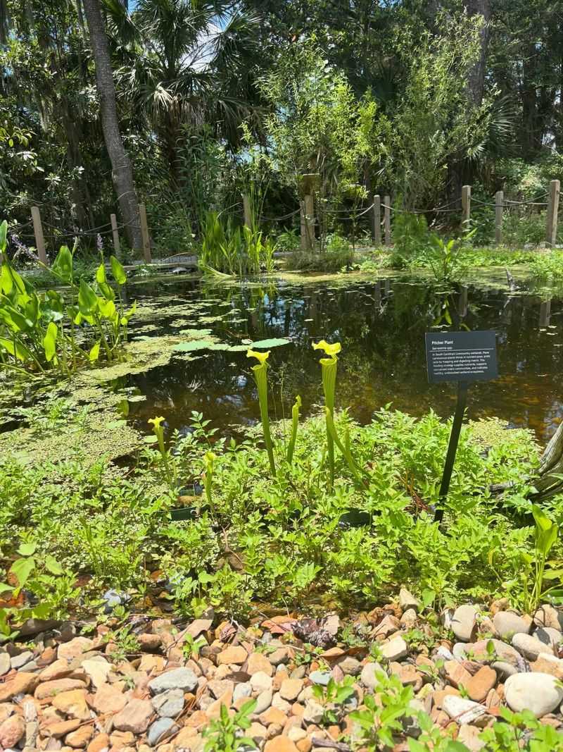 Protect Existing Water And Shoreline Habitat
