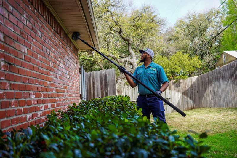 Protect the Lizards With More Targeted Pest Decisions