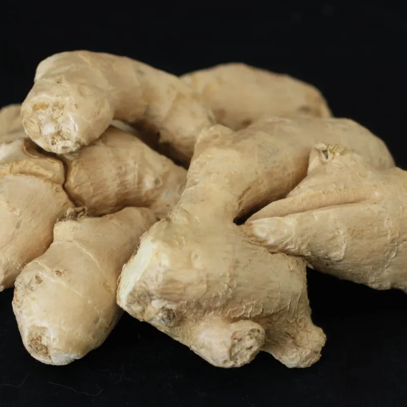 Choose A Firm Rhizome With Viable Eyes