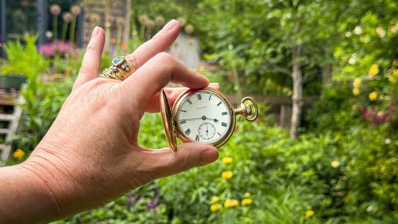 Let Each Morning Teach You Timing