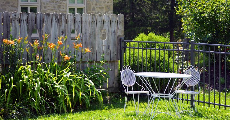 Use Layered Tick Prevention Around The Patio