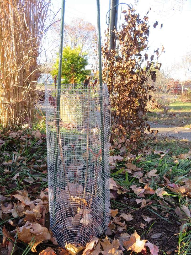 Protect the Garden at Ground Level