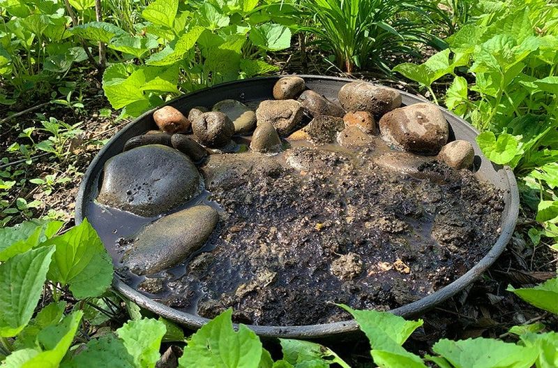 Add Moisture Only If the Site Needs It