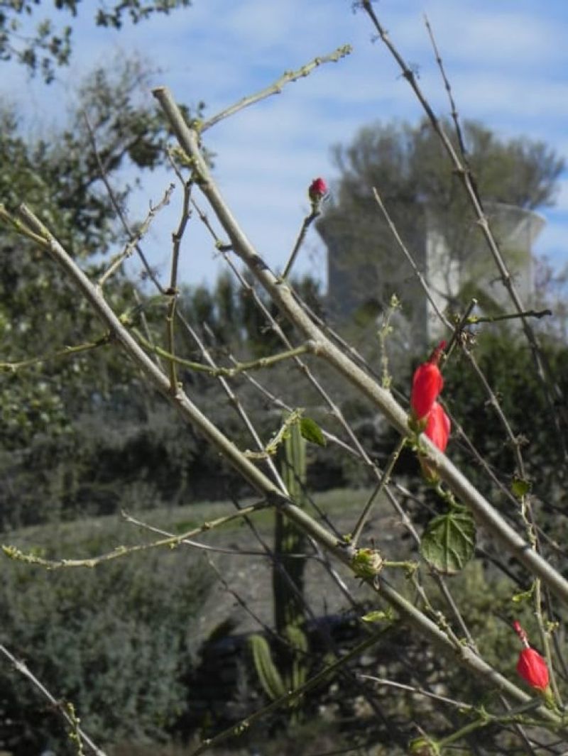 Let Your Texas Region Set The Winter Expectation