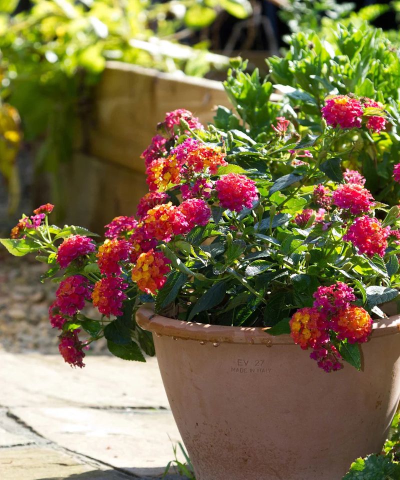 Build A Realistic Patio Plan
