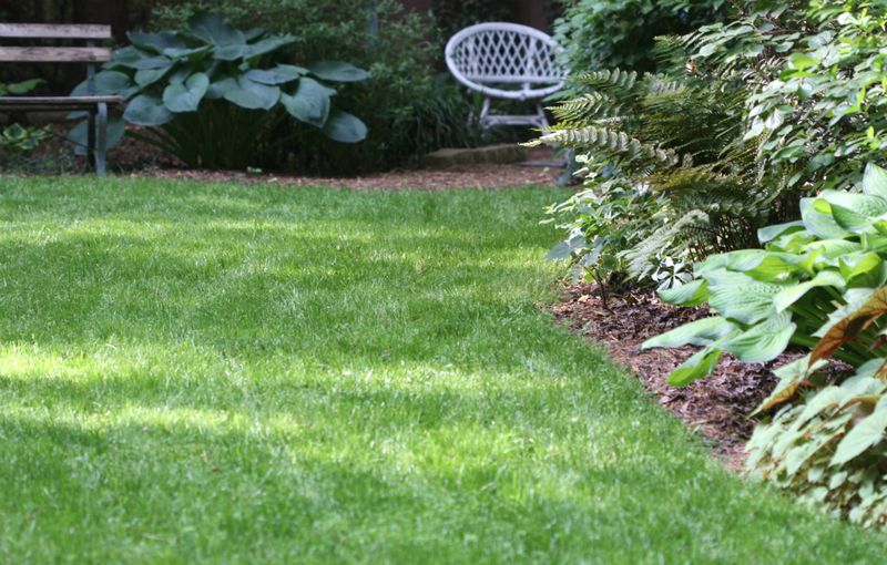 Strengthen The Turf Or Change The Planting
