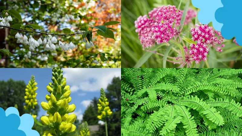 Match The Plant To Your Soil Before You Buy
