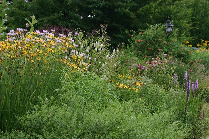 Cultivating Resilience: General Garden Health Actually Helps