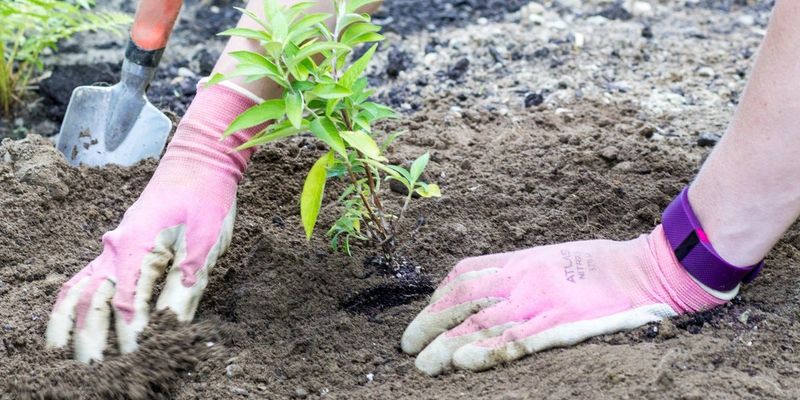 Timing Is Everything When You Plant