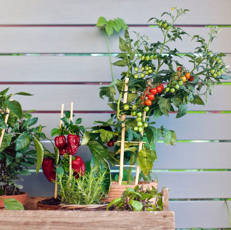 Choose Crops That Earn Their Space