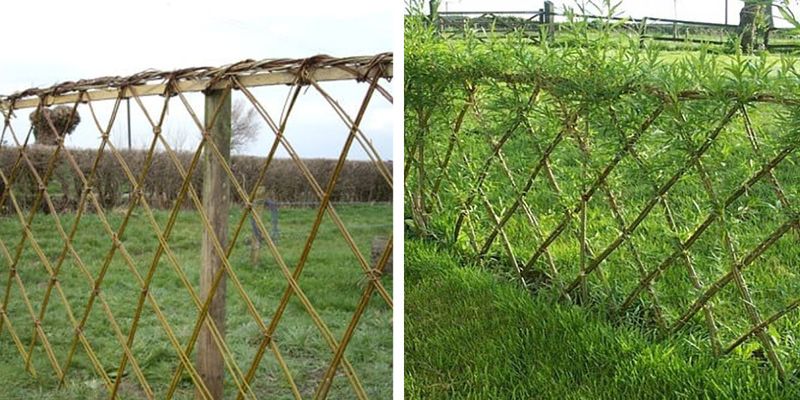 Plant And Weave The First Framework
