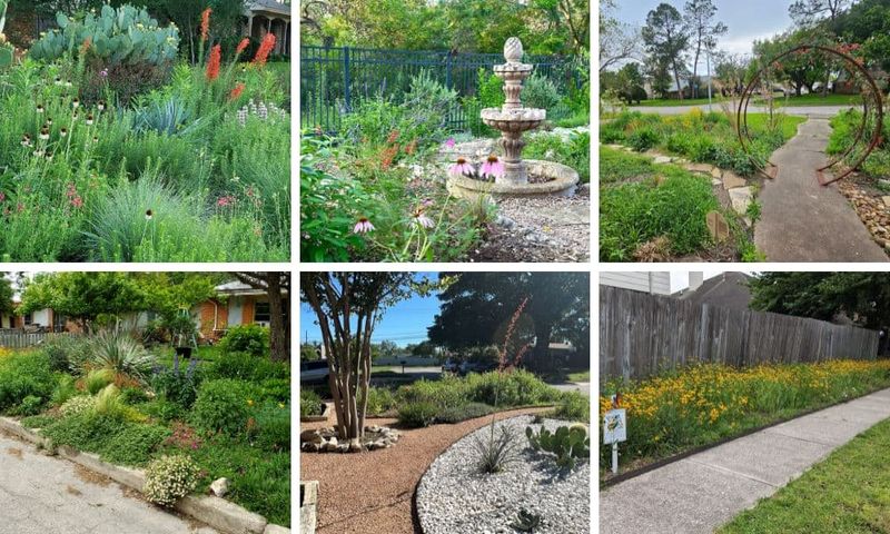 What Else Actually Helps Your Driveway Oasis Thrive