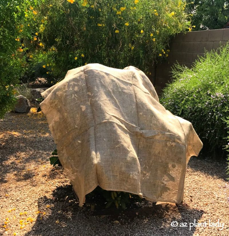 Guard Against Wind And Humidity Fluctuations