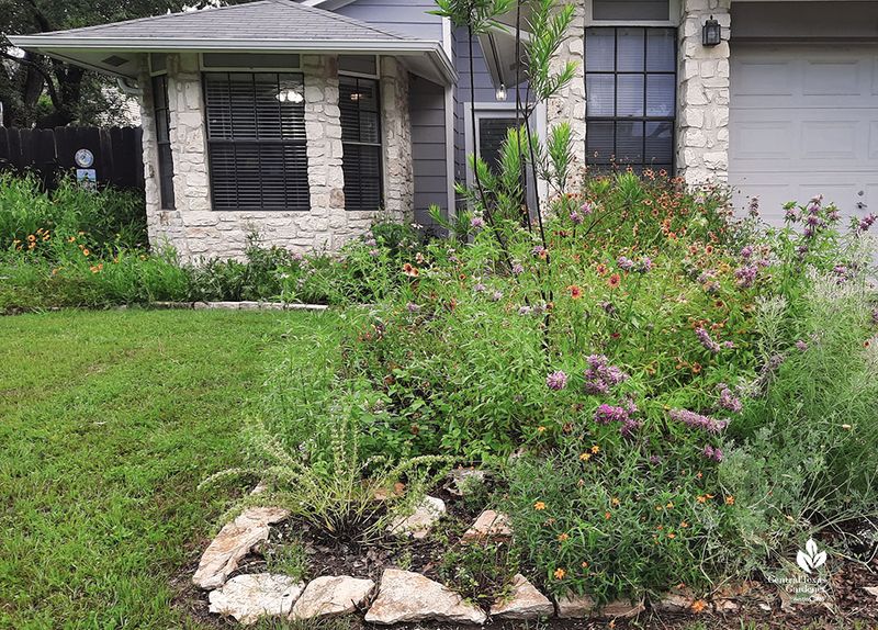 One Volunteer Works Best As Part Of A Diverse Yard