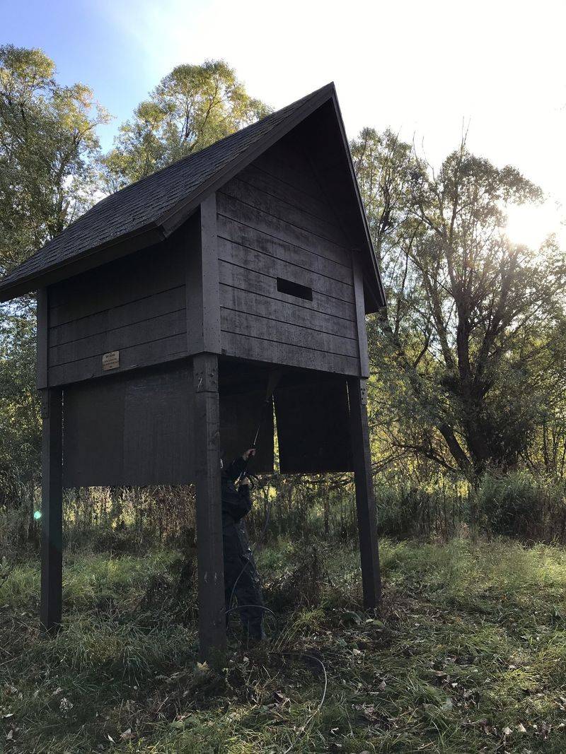 Pair Bat Habitat With Mosquito And Bat Safety