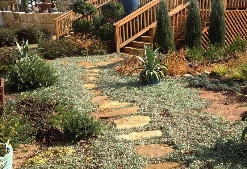 Build A Layered Yard Strategy