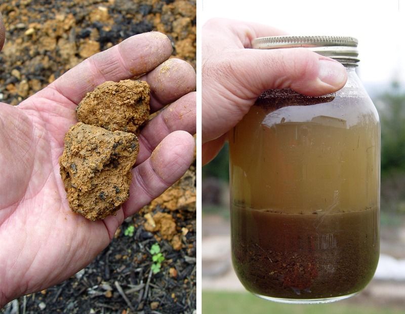 Let Soil Condition Guide The Next Step