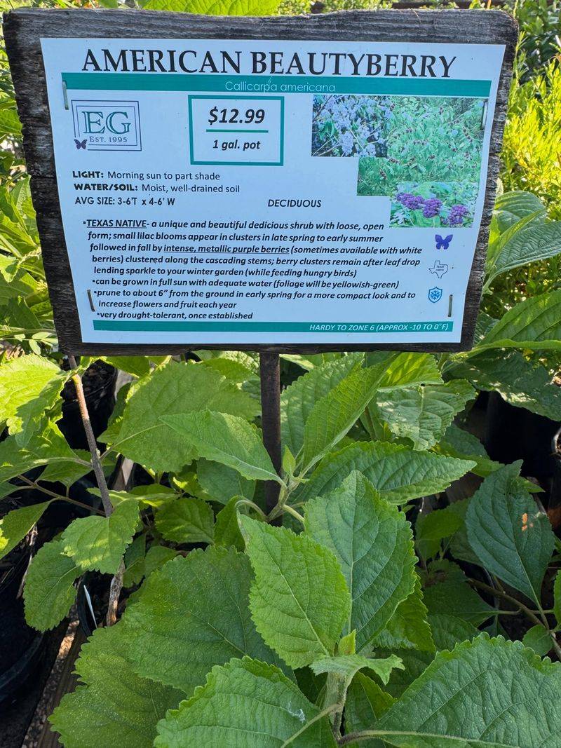 Check The Botanical Name And Skip The Myths