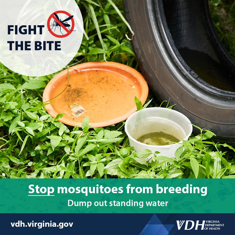 Reduce Mosquitoes With Measures That Match The Goal