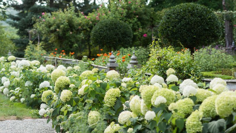 Build the Planting Before Expecting Coverage