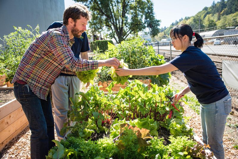 House Bill 1212 Could Broaden Garden Protections
