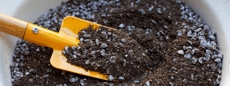 Choose The Perfect Potting Mix For Happy Roots