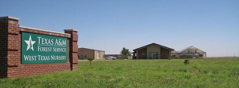 West Texas Nursery In Idalou