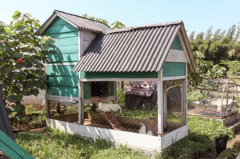 Make The Yard Less Rewarding And More Secure
