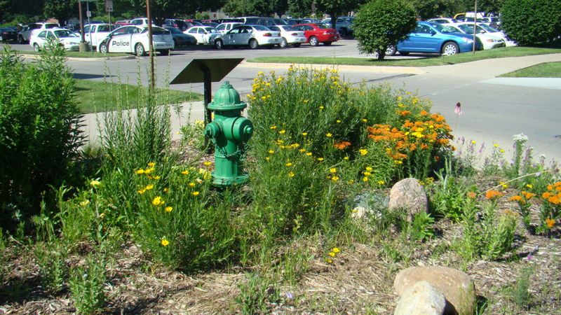 Crafting A Tick-Resistant Edge In Your Yard