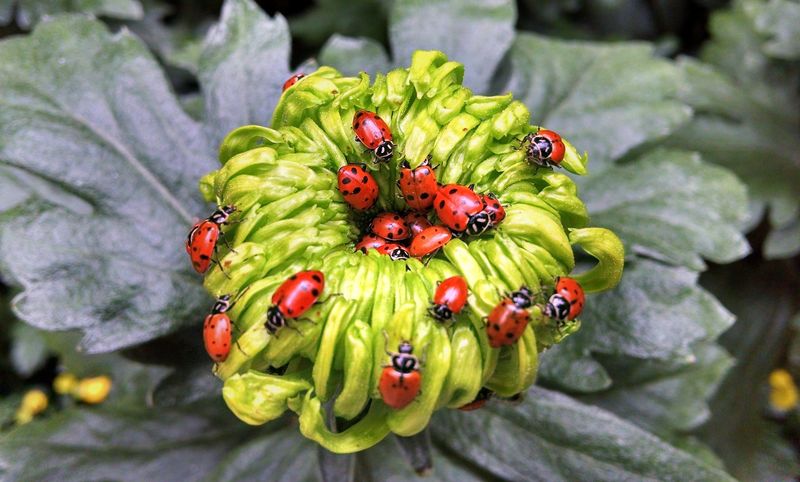 Layer Decisions Instead of Chasing a Perfect Garden