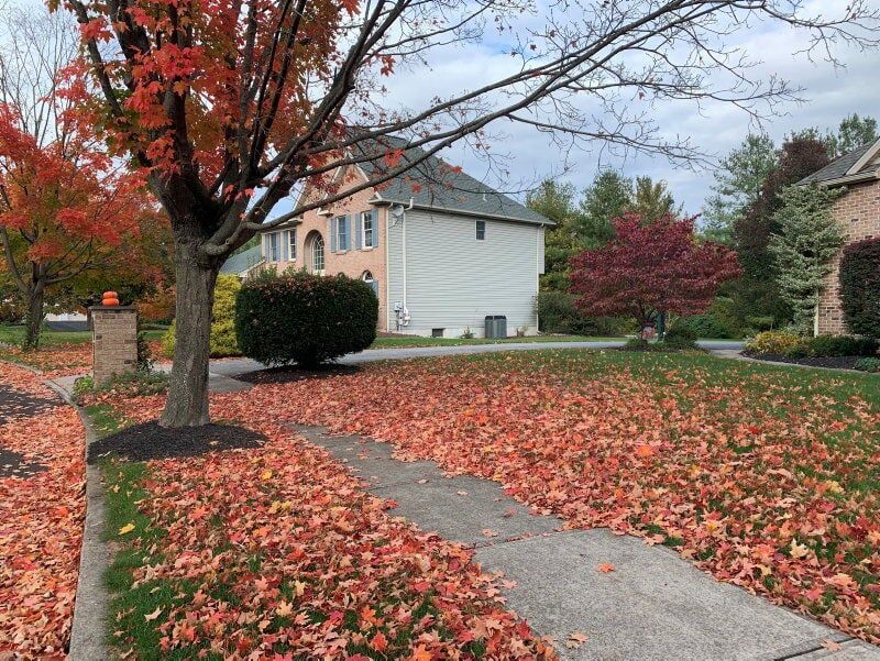 Manage The Busy Parts Of The Yard