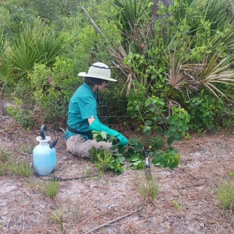 Use a Site-Specific Plan for Larger Trees