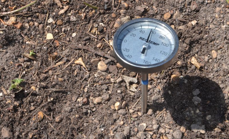 Soil Temperature Sets the Pace