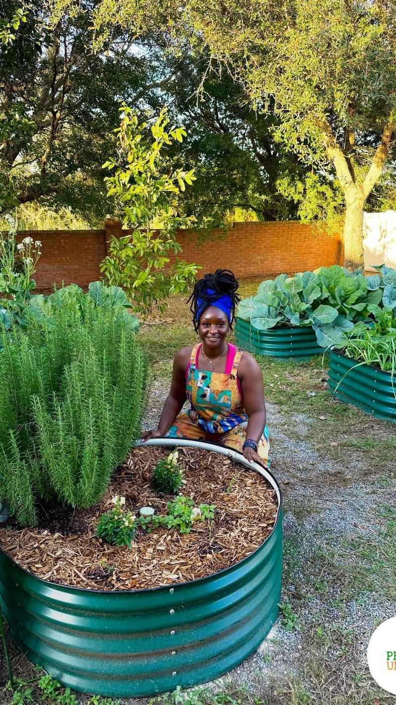 Give Rosemary Sun and Fast Drainage