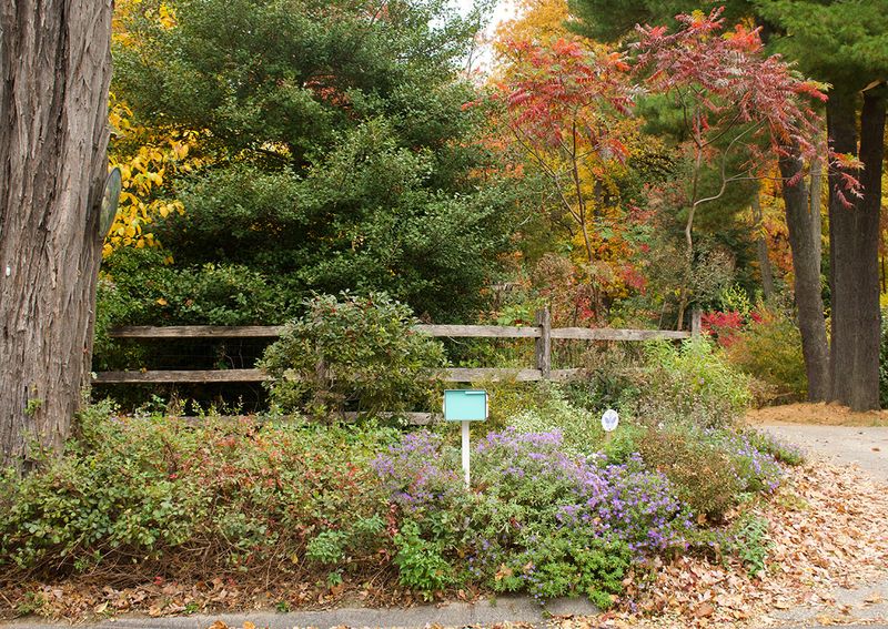 What Else Actually Helps Create A Tough Driveway Edge