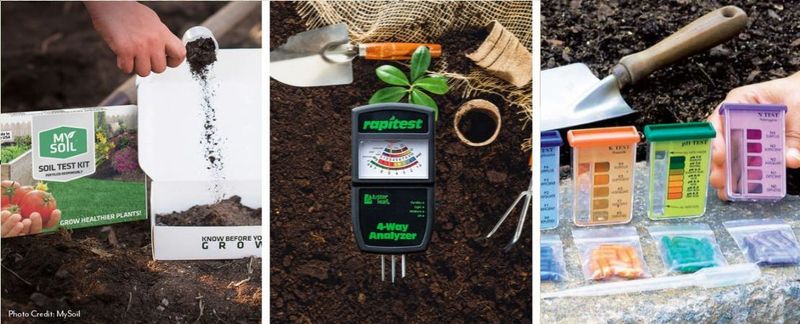 Fertilize Only When The Evidence Supports It