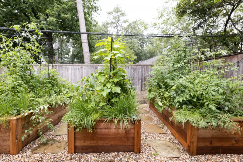 Build a Routine That Fits Your Garden