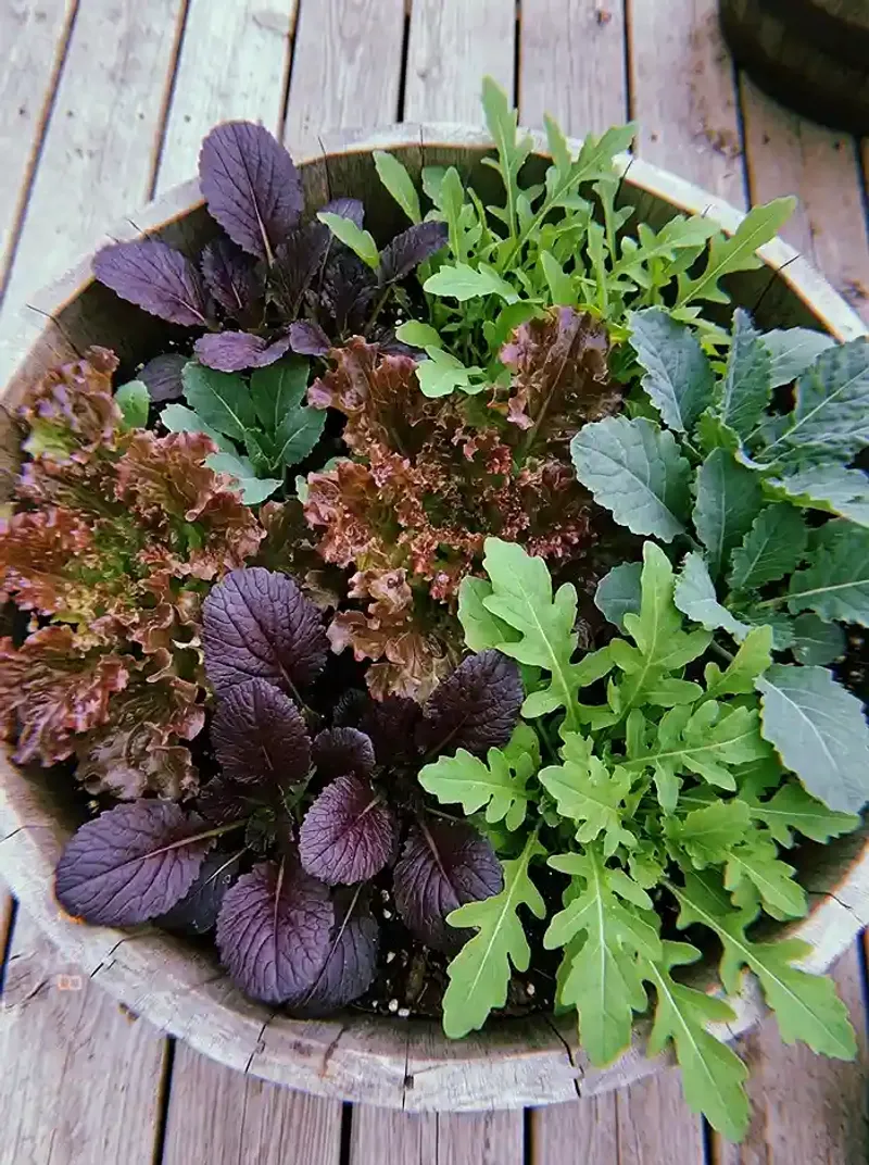 Choose Greens That Share The Space
