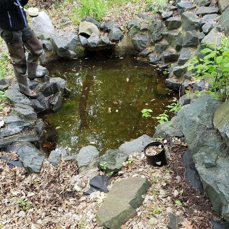 Reduce Mosquito Breeding Around the Patio