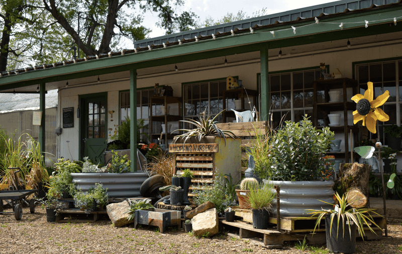 Hopkins Nursery Warms Cedar Creek Lake