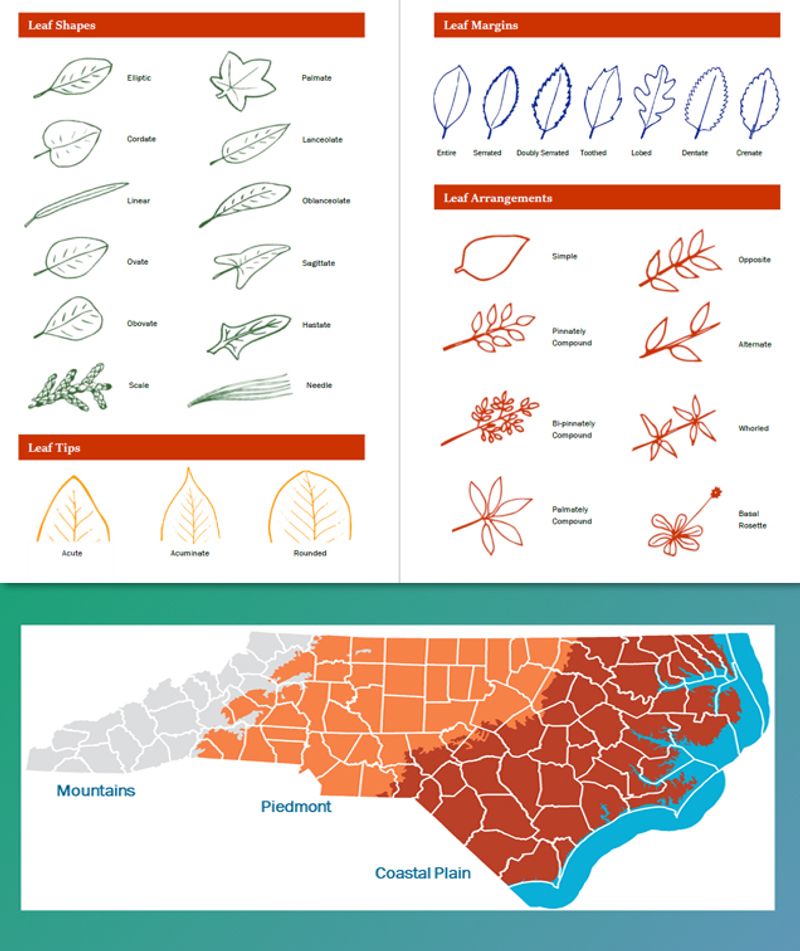 Match Plants to North Carolina Conditions